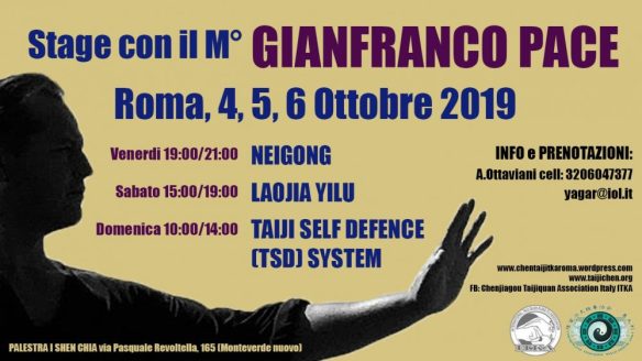 Stage Taijiquan Chen Maestro Pace 2019